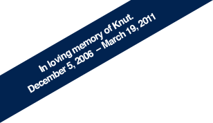 In loving memory of Knut. December 5, 2006  � March 19, 2011
